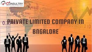 Auditing Requirements of Private Limited Company in Bangalore