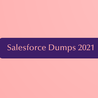 Salesforce Dumps 2021 Developer 2 certification