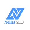 Why Digital Marketing Matters: NELLAISEO&#039;s Perspective (Nellaiseo)