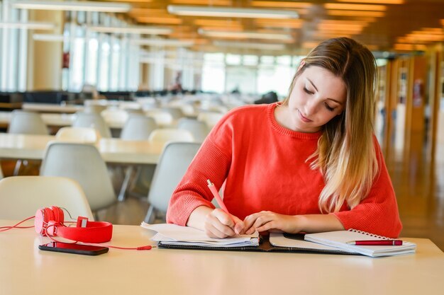 The Role of a Professional Essay Writer in Your Academic Success 