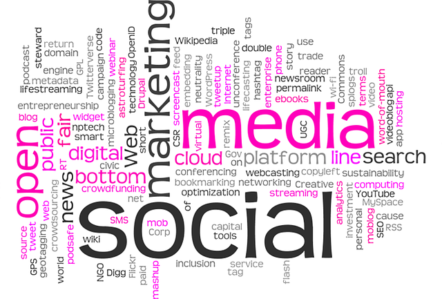 Wave Riser's Expertise in Social Media Marketing: Boost Your Social Presence Online