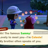 Star fragments in Animal Crossing: New Horizons