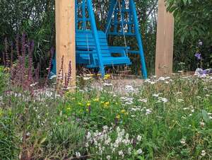 Create a Low-Maintenance Outdoor Space: Expert Artificial Grass Guide