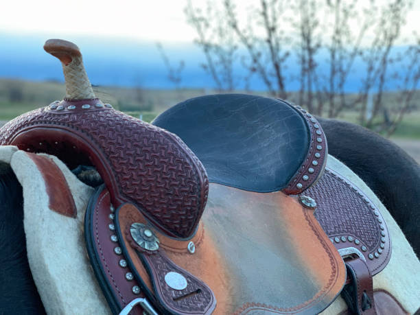 Western Horse Saddle For Sale Fast and Free Shipping