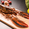 How to Find Affordable Live Lobster Deals on the Internet?