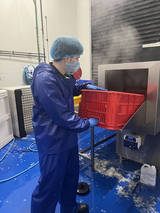Fish Processing Plant Cleaning for a Safer Work Environment 