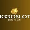 Viggoslots Casino