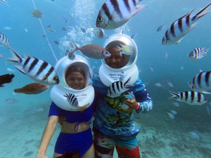 \u30d3\u30ad\u30cb\u30a2\u30a4\u30e9\u30f3\u30c9\u30af\u30e9\u30d6\u3067\u30b0\u30a2\u30e0\u306e\u30a4\u30eb\u30ab\u30a6\u30a9\u30c3\u30c1\u30f3\u30b0\u4f53\u9a13