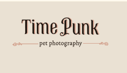 Capturing Timeless Memories: Dog Photography in Park City, UT In the picturesque landscapes of Park City, UT,