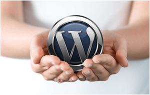  The Best Peple In The Wordpress Seo Expert Industry Tend To Have