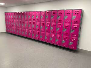 Secure and Customisable Lockers in Auckland to Fit Your Needs