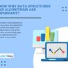 Know Why Data Structures and Algorithms are Important? 