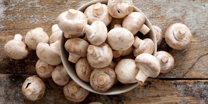Immune-Boosting Benefits Buy Edibles Canada Of Turkey Tail Mushroom