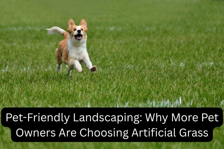 Pet-Friendly Landscaping: Why More Pet Owners Are Choosing Artificial Grass