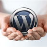  The Best Peple In The Wordpress Seo Expert Industry Tend To Have