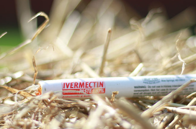 Topical Ivermectin for the Treatment of Head Lice Infestation