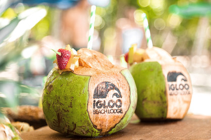 Get Ready for an Igloo Surprise February in Costa Rica