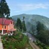 Tinchuley: A Hidden Gem in the Darjeeling Hills