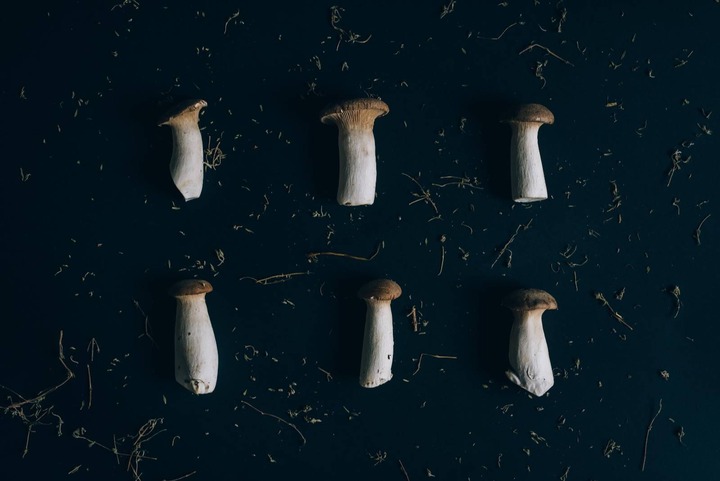This Is How You Store Mushrooms To Save Them For Long-Term