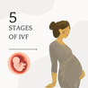 What are IVF stages?