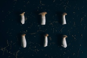 This Is How You Store Mushrooms To Save Them For Long-Term