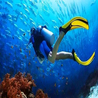 Book a diving trip to Hurghada