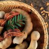Equipments and Machinery Requirements Report For Tamarind Processing and Plant Setup