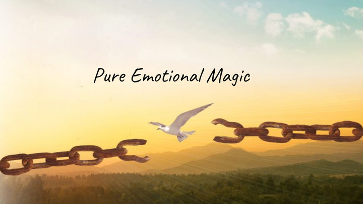 The Emotional Healing Book Resonates Deeply with the Healing Process
