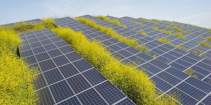 Important Milestone for Australia’s Largest Solar Farm