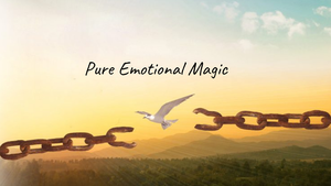 The Emotional Healing Book Resonates Deeply with the Healing Process