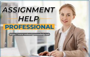 24*7 online assignment help from professionals