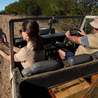 Exploring Kenya Safari Tours \u2013 A Journey Through Wildlife and Nature