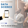 What Role Does Data Science Play In Online Search?