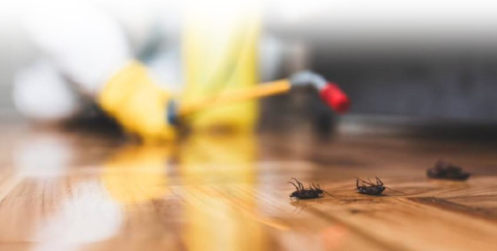 How to Choose the Best Pest Control Company for Your Business