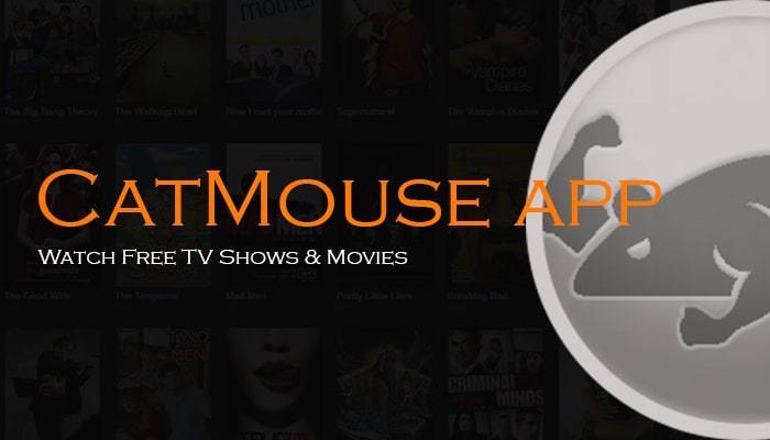 CatMouse Free: Online Streaming App