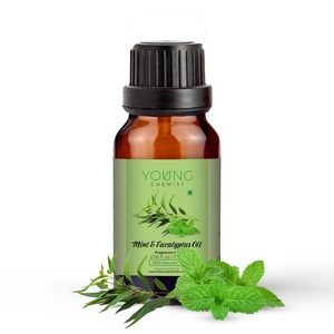 Mint Eucalyptus Fragrance Oil