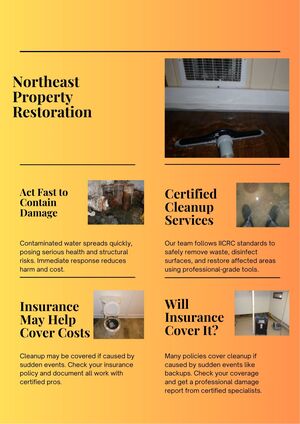 Is sewage cleanup covered by insurance?