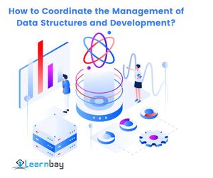 How to Coordinate the Management of Data Structures and Development?
