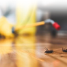 How to Choose the Best Pest Control Company for Your Business