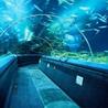Aquarium with international quality and reasonable price