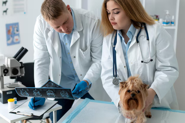 Essential Laboratory Tests Every Pet Needs