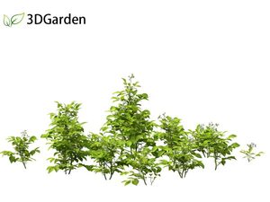 3Ds max Plants 3D Models Free download
