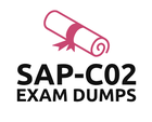 Professional SAP-C02 best to discover your have a look at manual changed