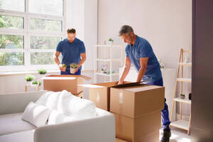 Essential Guide to Hiring Movers in Christchurch: What You Need to Know