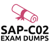 Professional SAP-C02 best to discover your have a look at manual changed