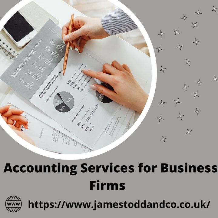Professional Accounting Services for Business Firms and Individuals