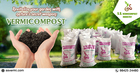 SS Vermicompost Industry|Vermicompost in chennai