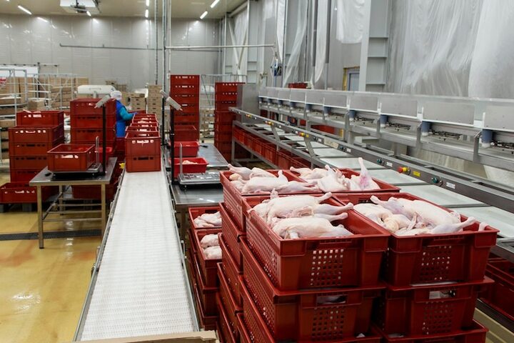 How Frozen Meat Exporters Ensure Quality and Safety