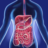 Gastroenterology Services: What You Need to Know