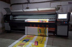 Flex Printing Service in Delhi Ncr Helping Businesses Experience more Footfalls
